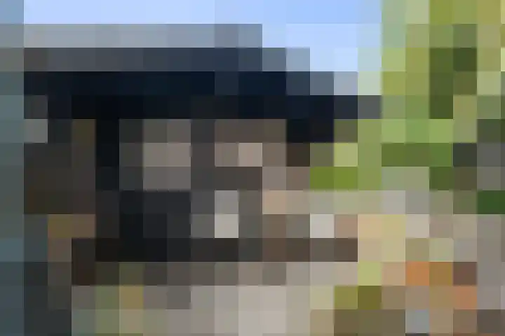 Boterzwin 4405 Julianadorp thumbnail 17