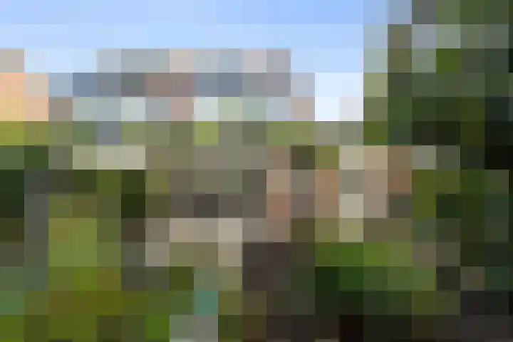 Boterzwin 4405 Julianadorp thumbnail 18