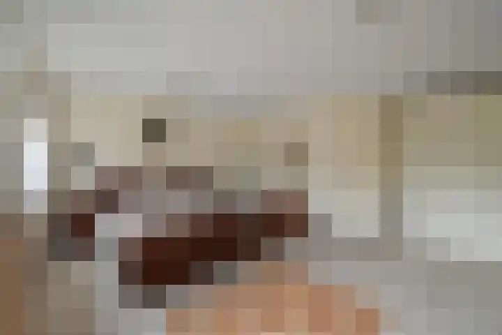 Boterzwin 4405 Julianadorp thumbnail 23