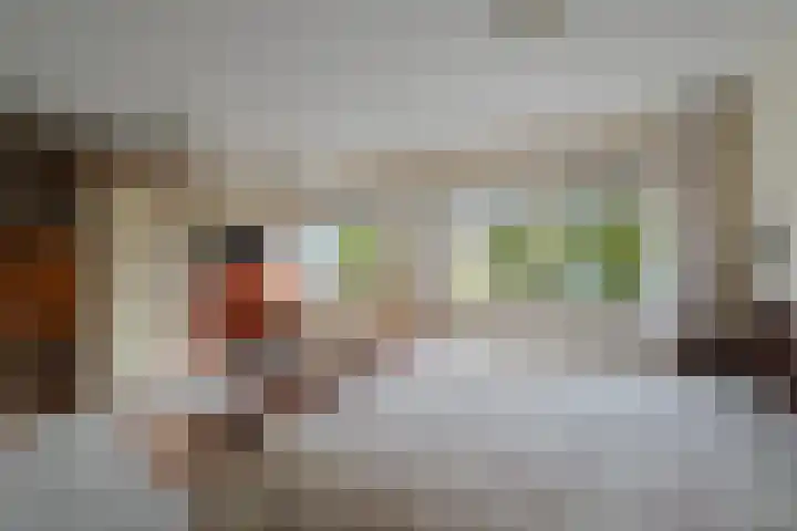 Boterzwin 4405 Julianadorp thumbnail 24