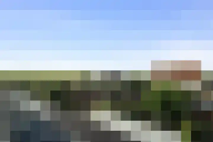 Boterzwin 4405 Julianadorp thumbnail 26