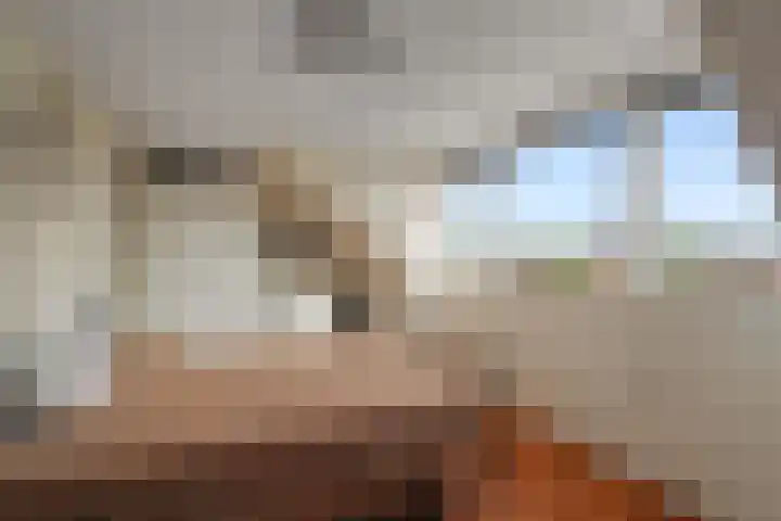 Boterzwin 4405 Julianadorp thumbnail 28