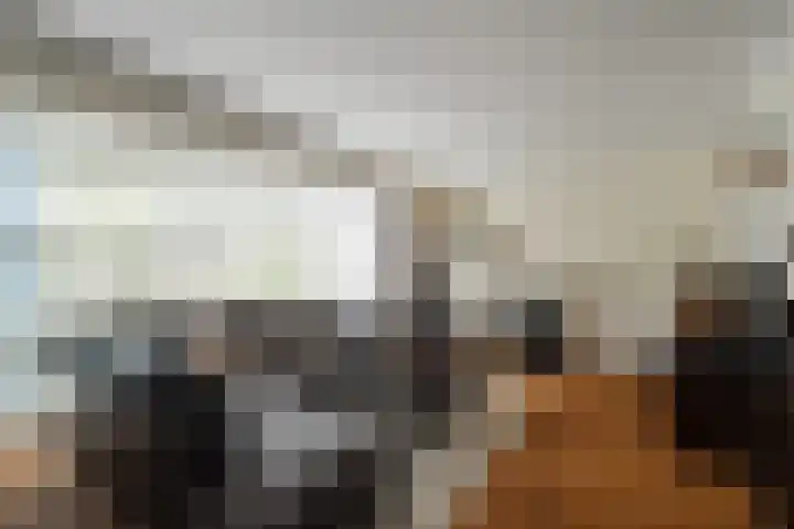 Boterzwin 4405 Julianadorp thumbnail 6