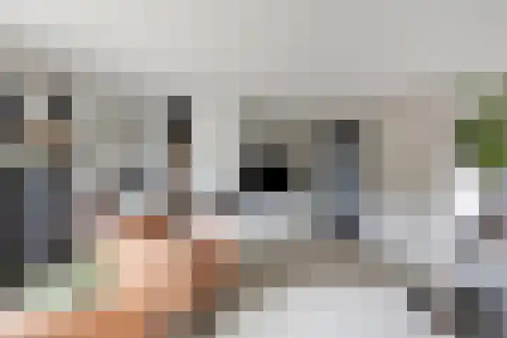 Boterzwin 4520 Julianadorp thumbnail 10
