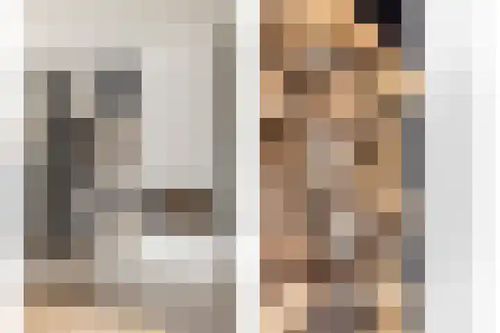 Boterzwin 4520 Julianadorp thumbnail 11