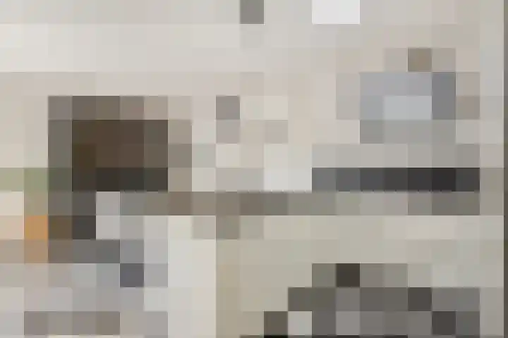 Boterzwin 4520 Julianadorp thumbnail 12