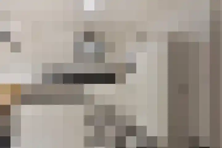 Boterzwin 4520 Julianadorp thumbnail 13
