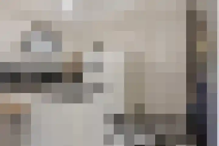 Boterzwin 4520 Julianadorp thumbnail 14