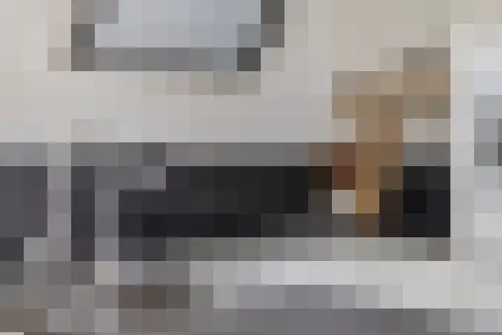 Boterzwin 4520 Julianadorp thumbnail 15