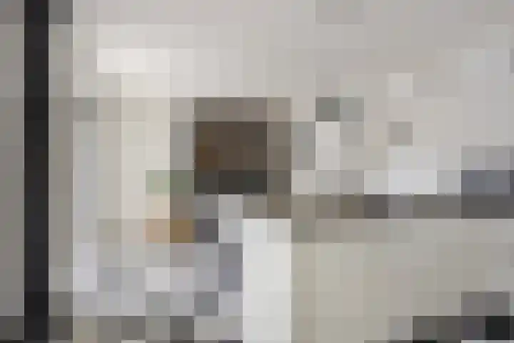 Boterzwin 4520 Julianadorp thumbnail 16