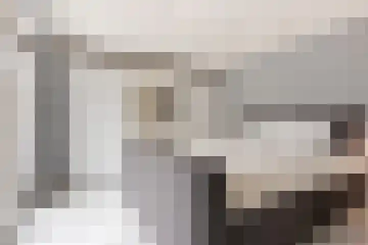 Boterzwin 4520 Julianadorp thumbnail 21
