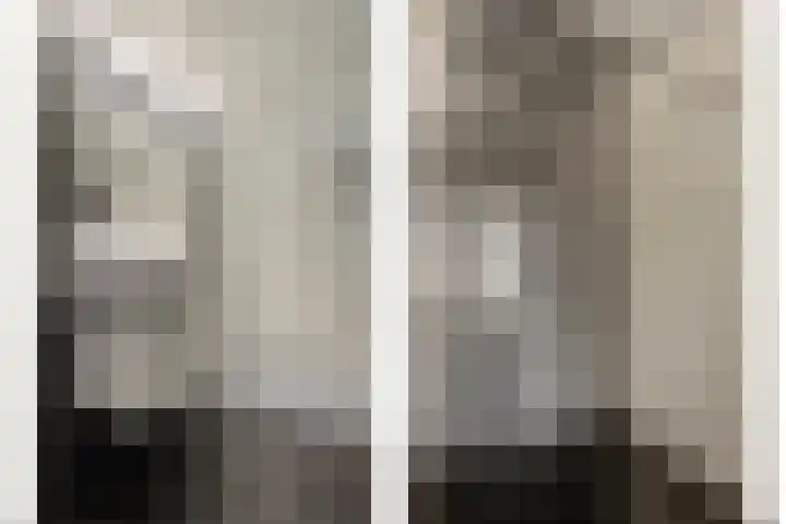 Boterzwin 4520 Julianadorp thumbnail 24