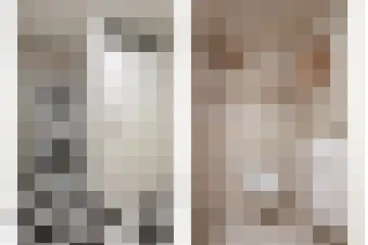 Boterzwin 4520 Julianadorp thumbnail 26