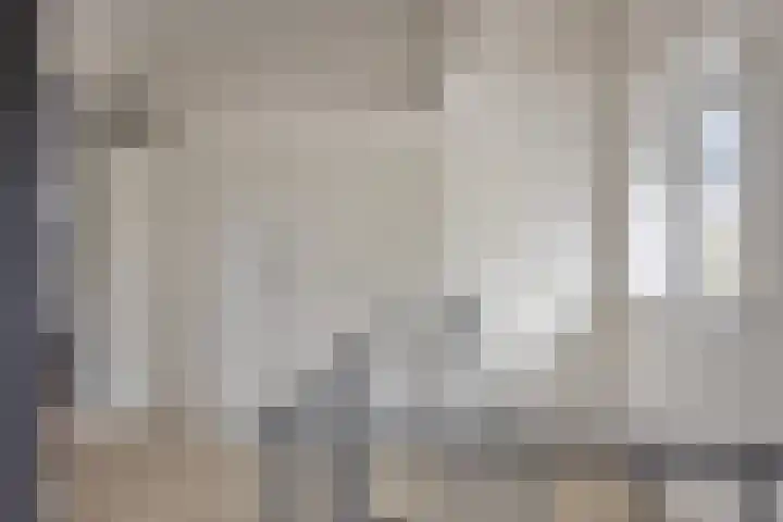 Boterzwin 4520 Julianadorp thumbnail 28