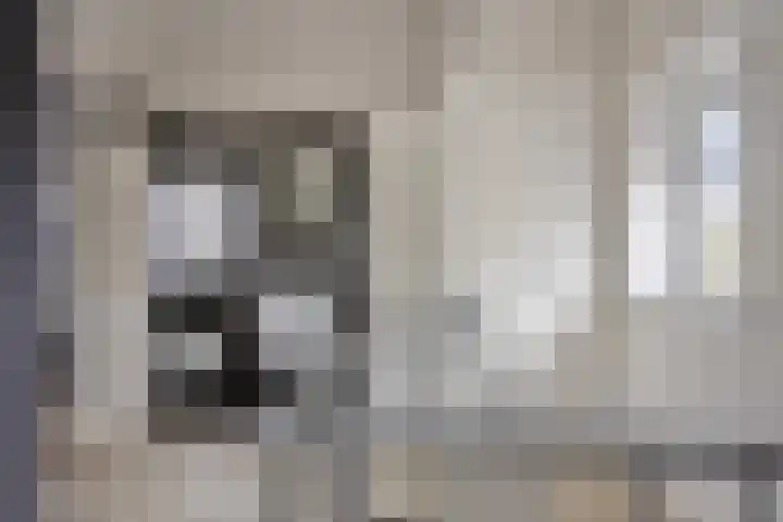 Boterzwin 4520 Julianadorp thumbnail 29