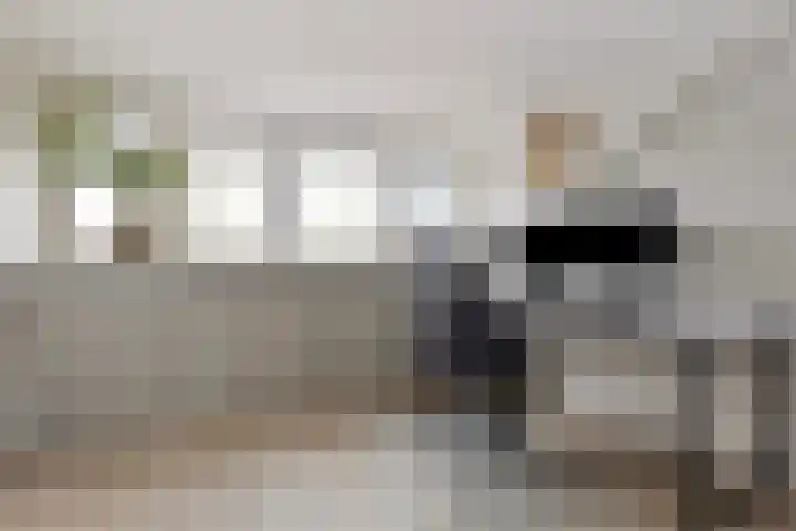 Boterzwin 4520 Julianadorp thumbnail 32