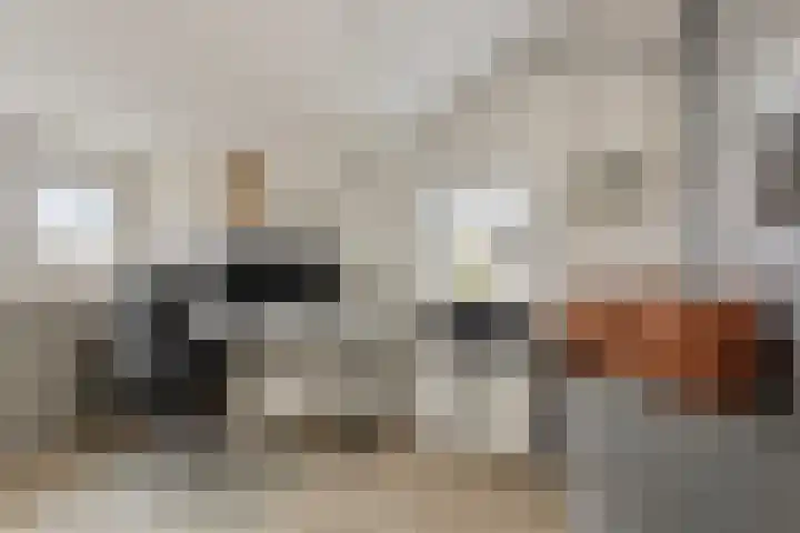 Boterzwin 4520 Julianadorp thumbnail 33