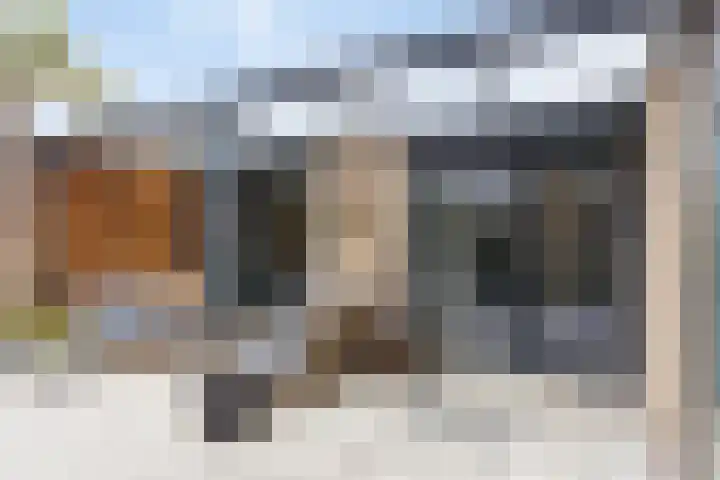 Boterzwin 4520 Julianadorp thumbnail 36