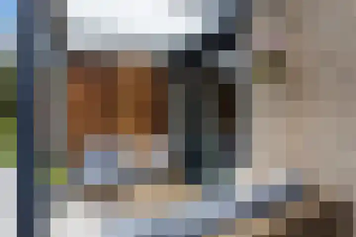 Boterzwin 4520 Julianadorp thumbnail 37