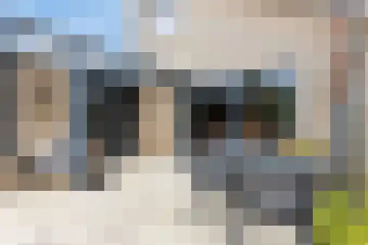Boterzwin 4520 Julianadorp thumbnail 38