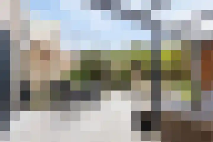 Boterzwin 4520 Julianadorp thumbnail 39