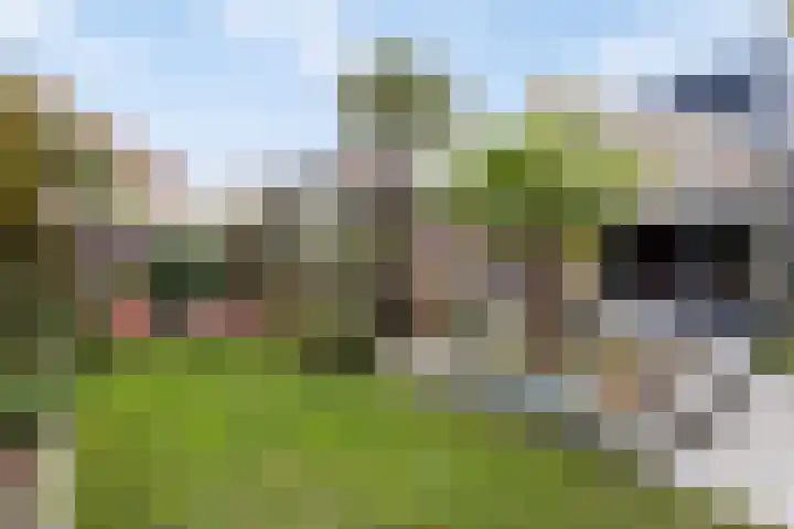 Boterzwin 4520 Julianadorp thumbnail 4