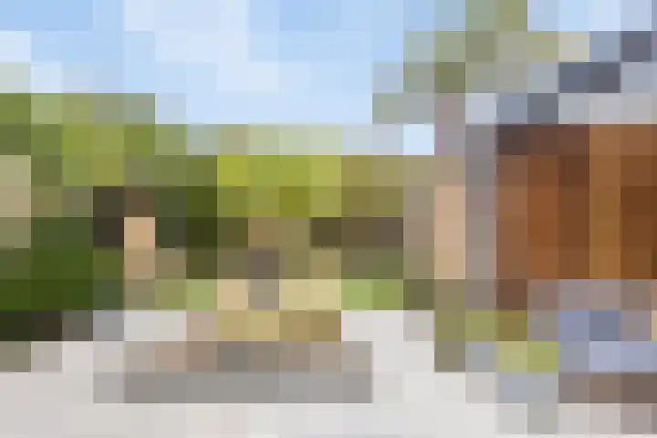 Boterzwin 4520 Julianadorp thumbnail 40