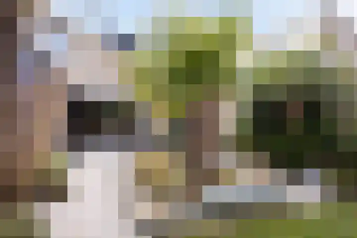 Boterzwin 4520 Julianadorp thumbnail 41