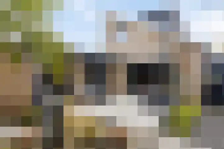 Boterzwin 4520 Julianadorp thumbnail 42