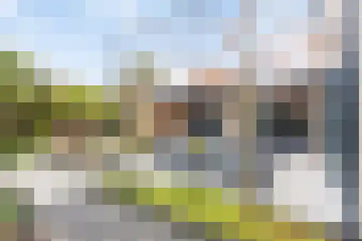 Boterzwin 4520 Julianadorp thumbnail 43
