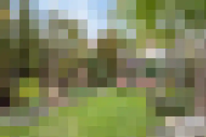 Boterzwin 4520 Julianadorp thumbnail 44