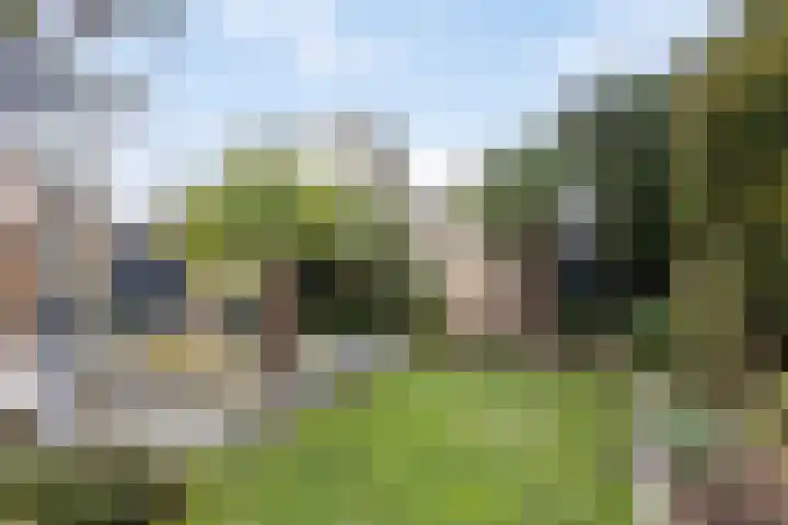 Boterzwin 4520 Julianadorp thumbnail 45