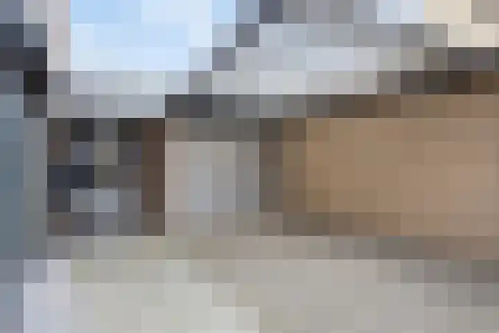Boterzwin 4520 Julianadorp thumbnail 48