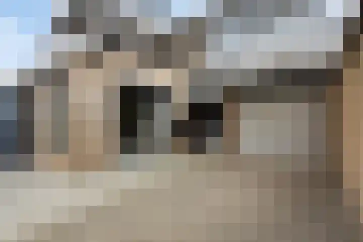 Boterzwin 4520 Julianadorp thumbnail 49
