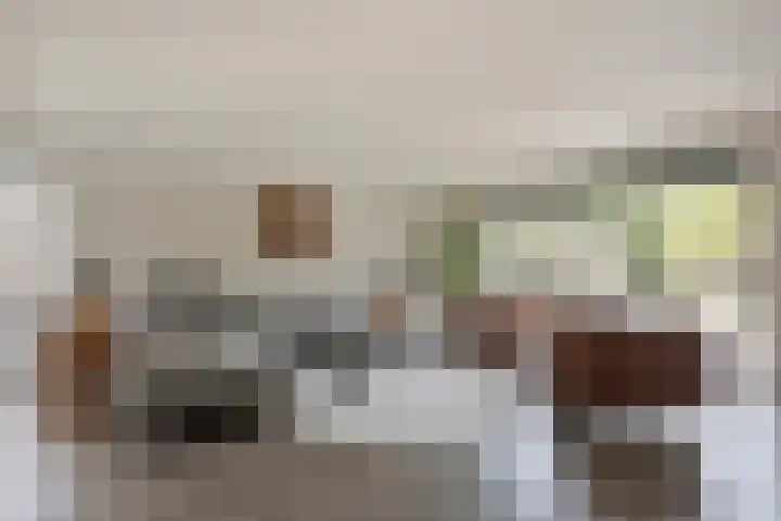 Boterzwin 4520 Julianadorp thumbnail 5