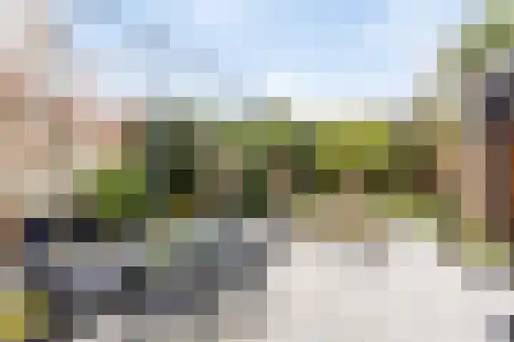 Boterzwin 4520 Julianadorp thumbnail 51