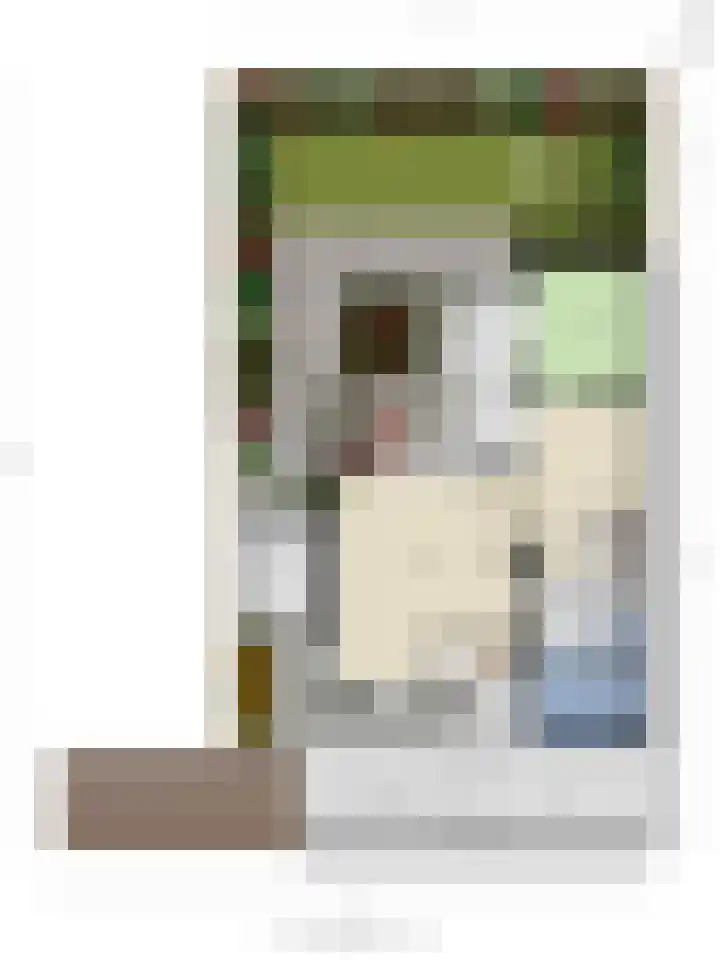 Boterzwin 4520 Julianadorp thumbnail 52