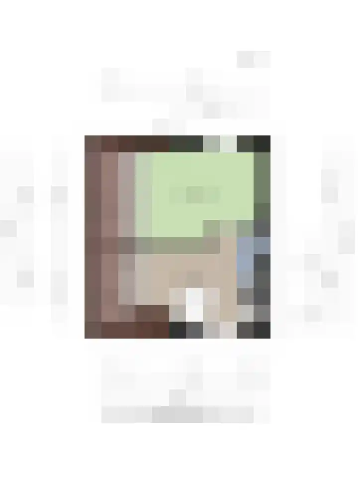 Boterzwin 4520 Julianadorp thumbnail 54