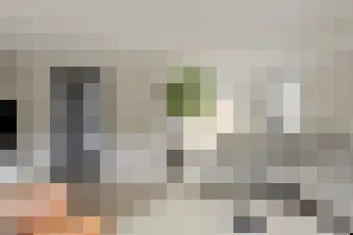 Boterzwin 4520 Julianadorp thumbnail 7