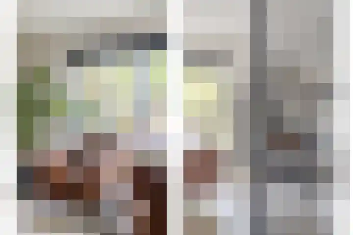 Boterzwin 4520 Julianadorp thumbnail 8