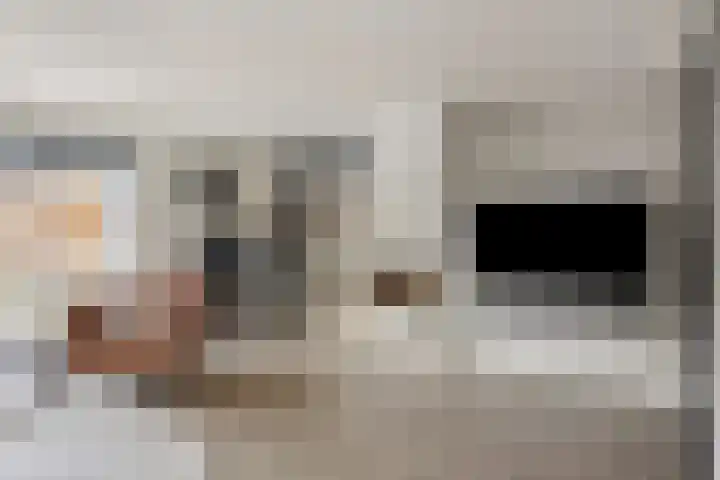 Boterzwin 4520 Julianadorp thumbnail 9