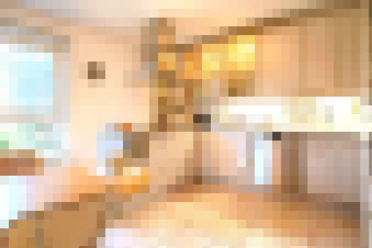 Boterzwin 4523 Julianadorp thumbnail 12
