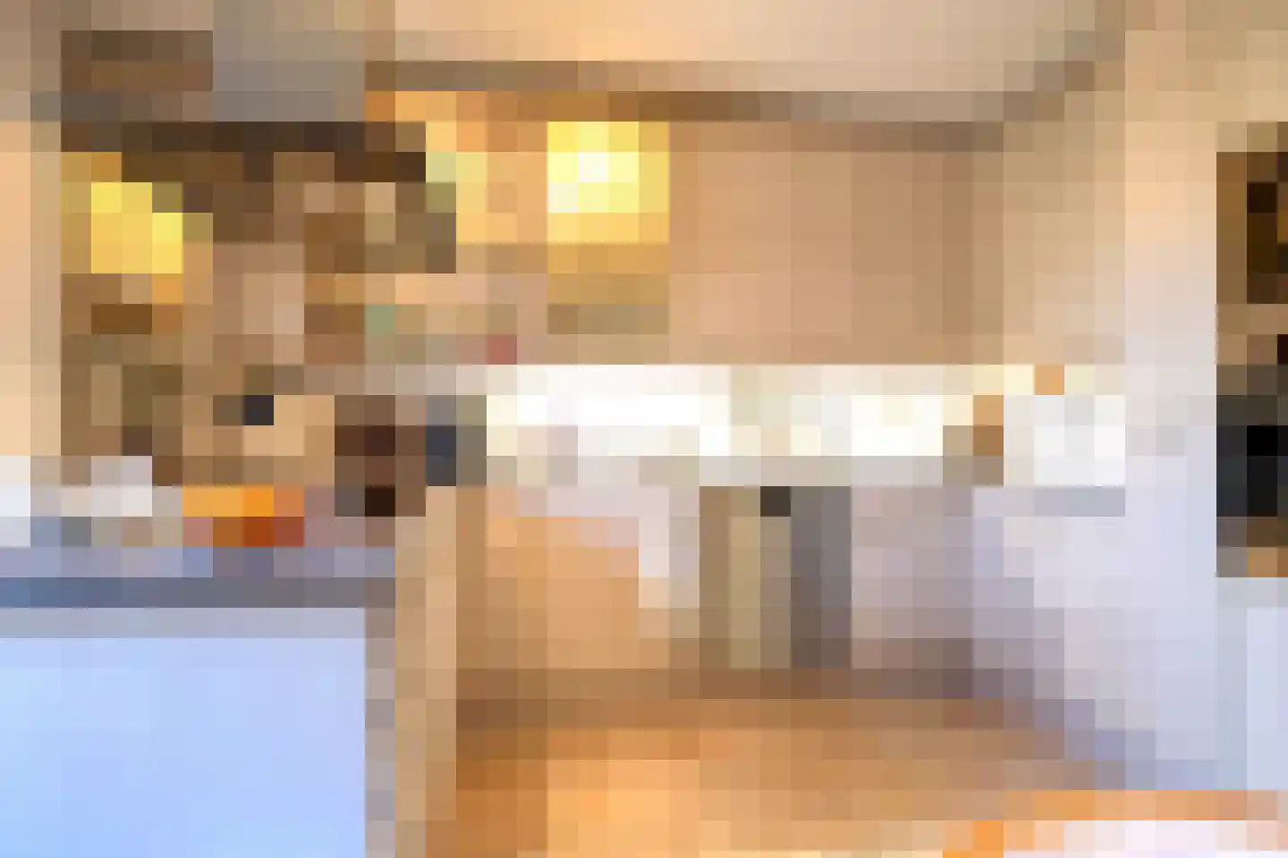Boterzwin 4523 Julianadorp thumbnail 13