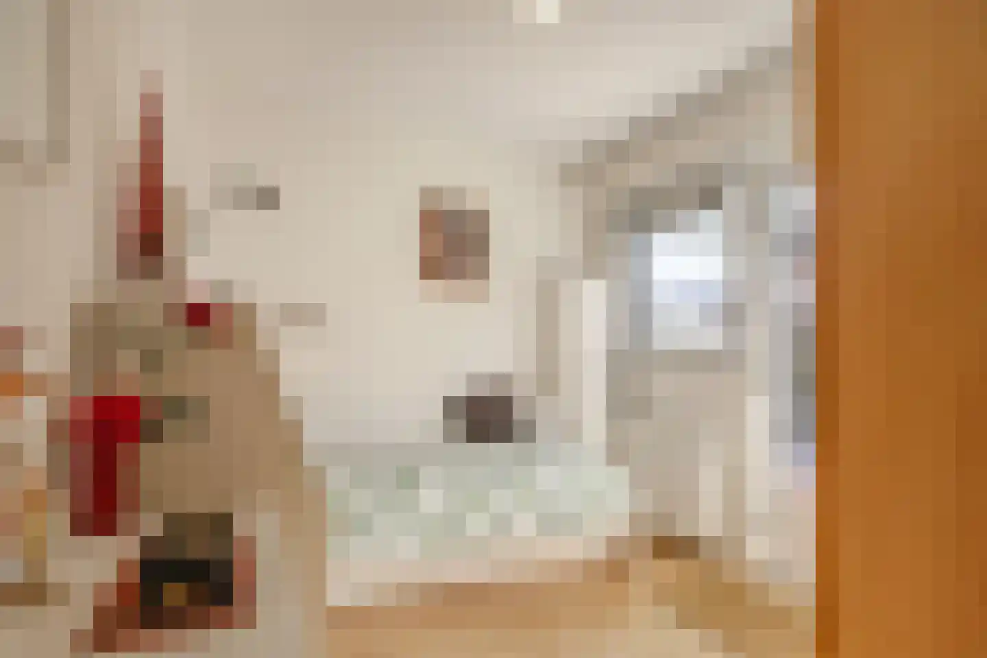 Boterzwin 4523 Julianadorp thumbnail 9