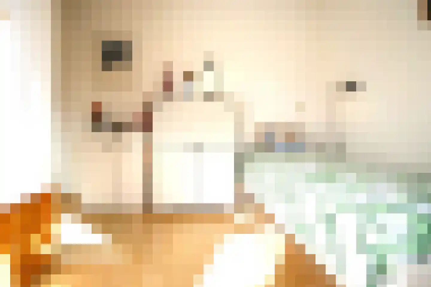 Boterzwin 4523 Julianadorp thumbnail 20