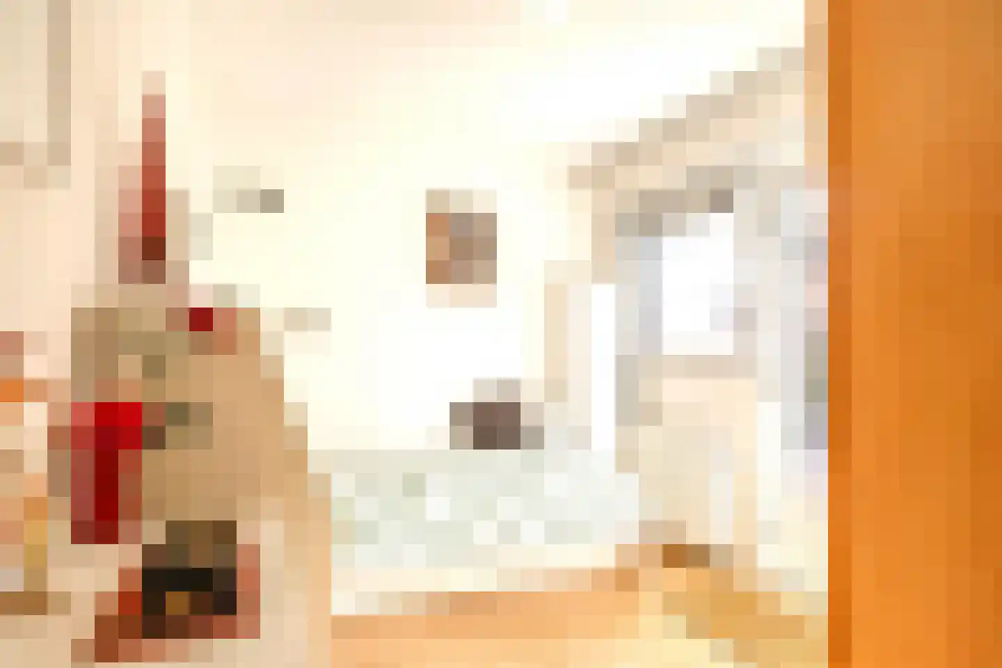 Boterzwin 4523 Julianadorp thumbnail 21