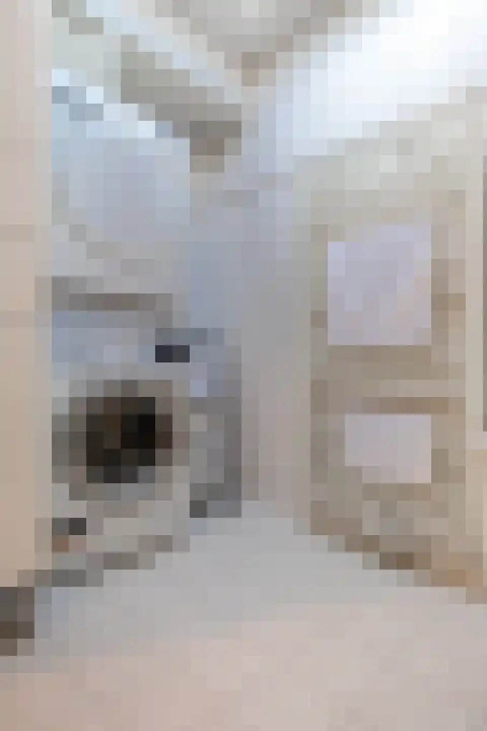 Boterzwin 4523 Julianadorp thumbnail 11