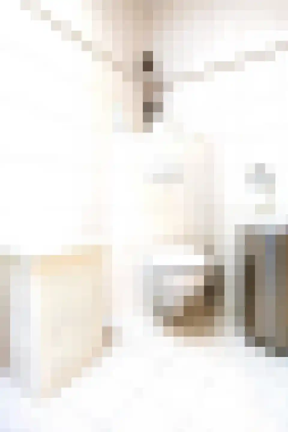 Boterzwin 4523 Julianadorp thumbnail 23