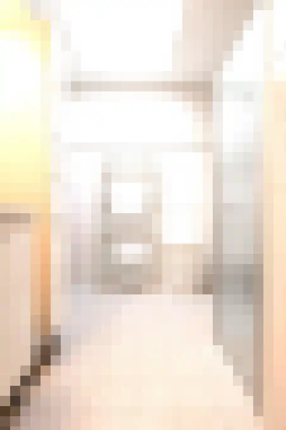 Boterzwin 4523 Julianadorp thumbnail 25