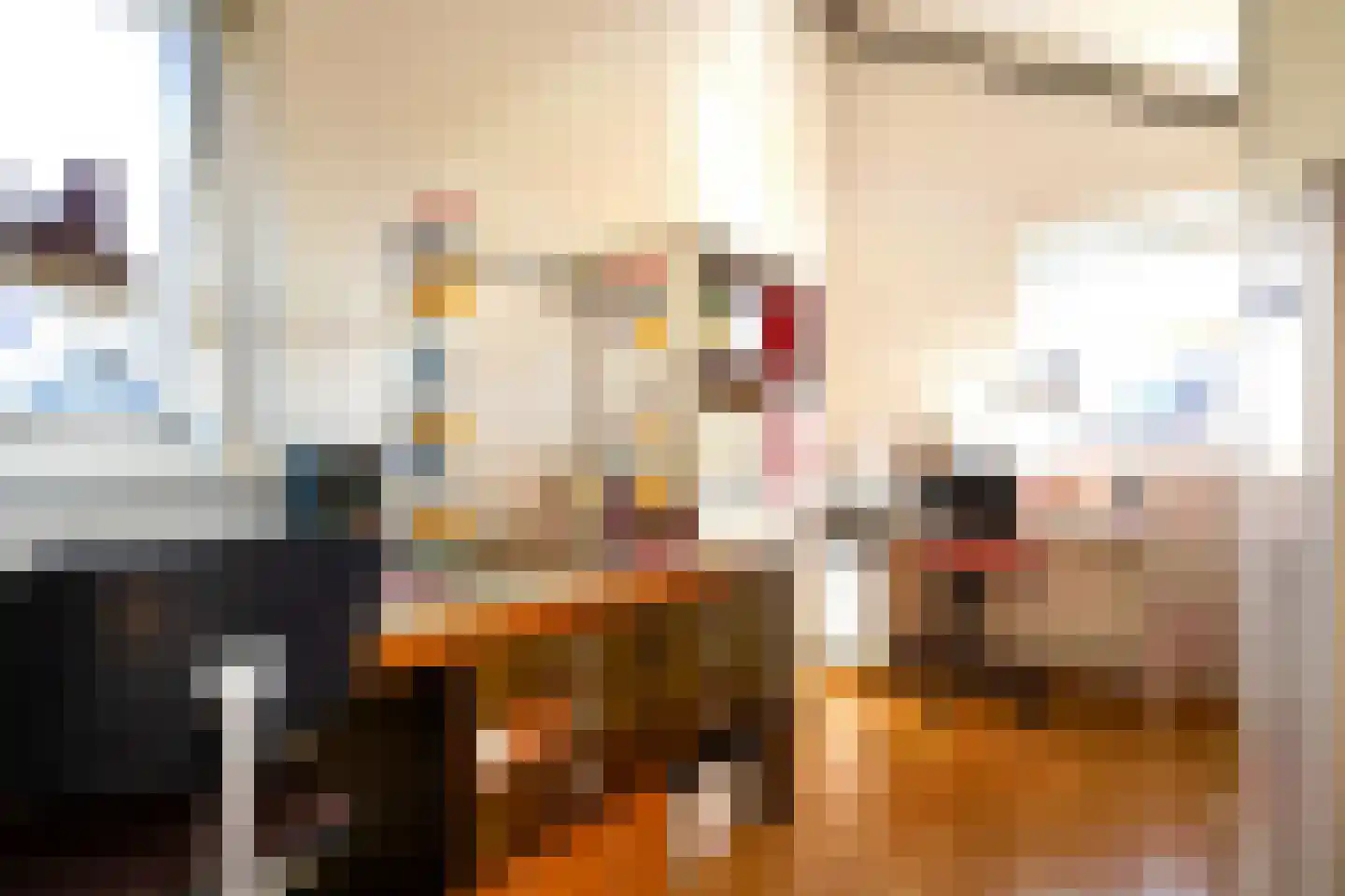 Boterzwin 4523 Julianadorp thumbnail 27